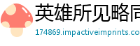 英雄所见略同网